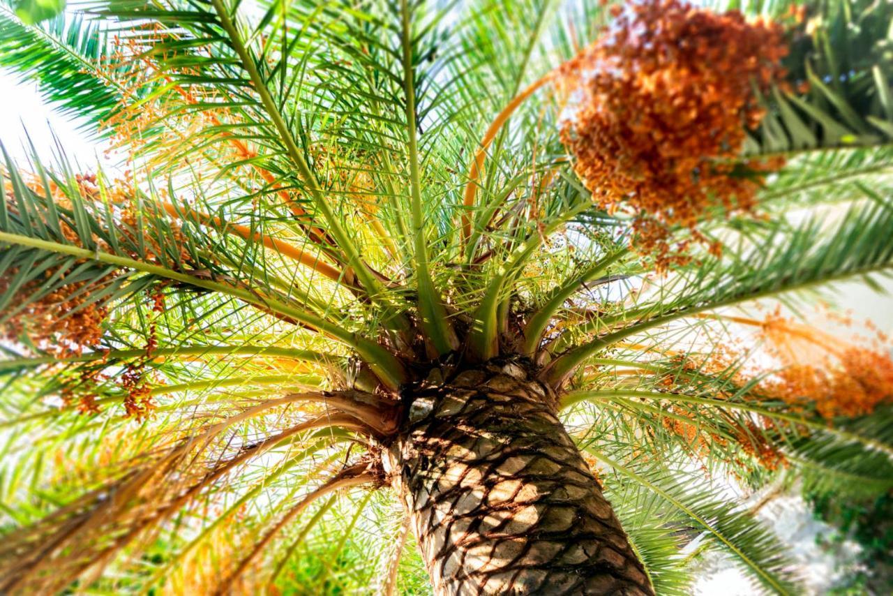 Alavya Hotel Alacati Kültér fotó